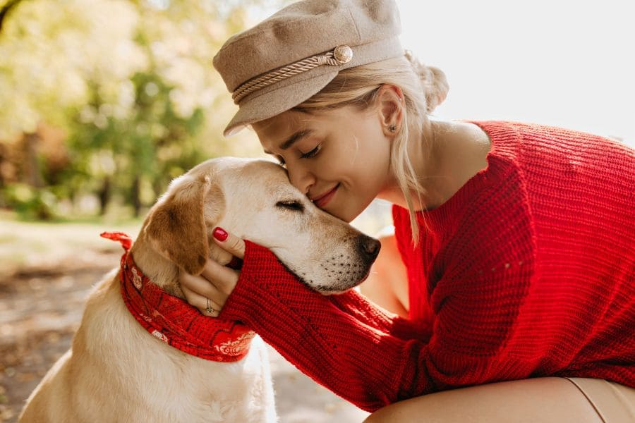 Les bienfaits du curcuma pour les chiens