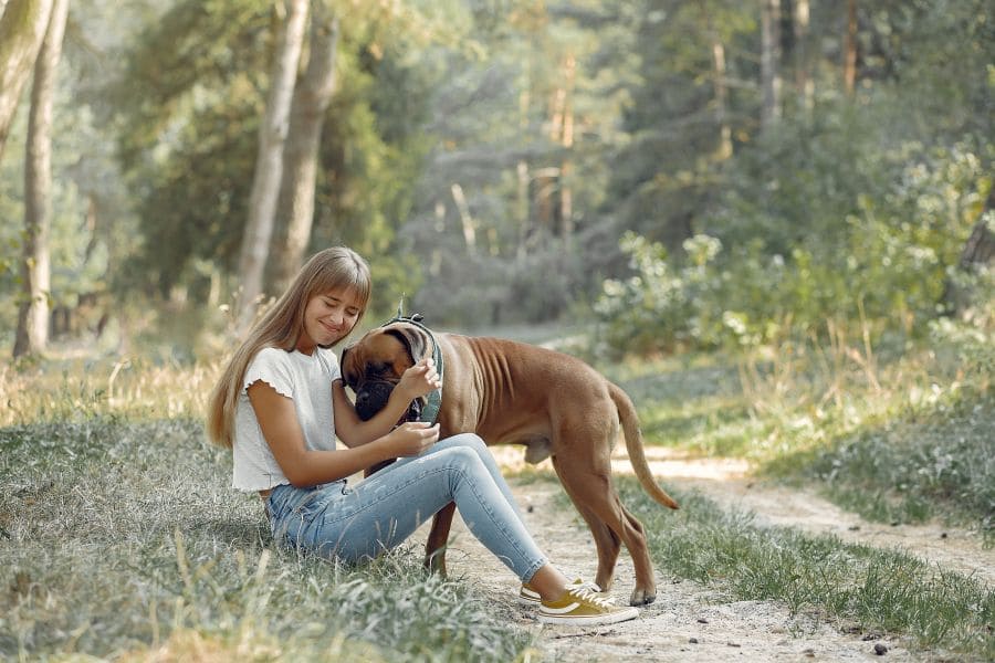 Quelle est la meilleure alimentation pour mon chien