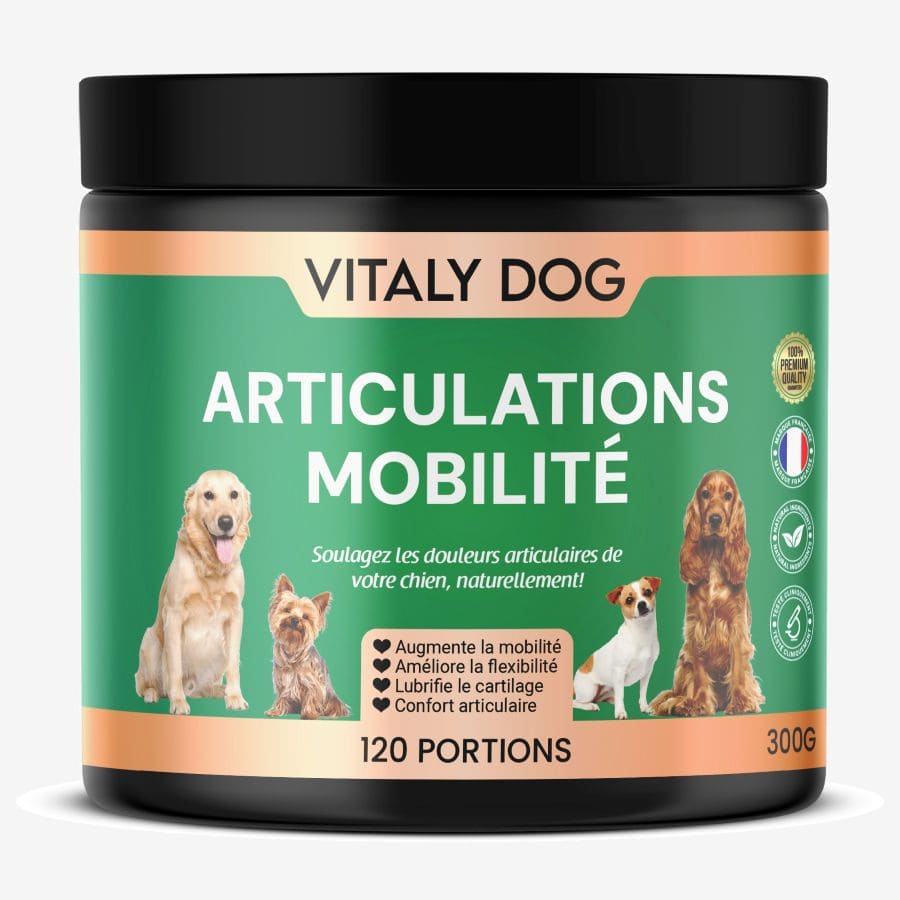 Nos compléments alimentaires pour chien