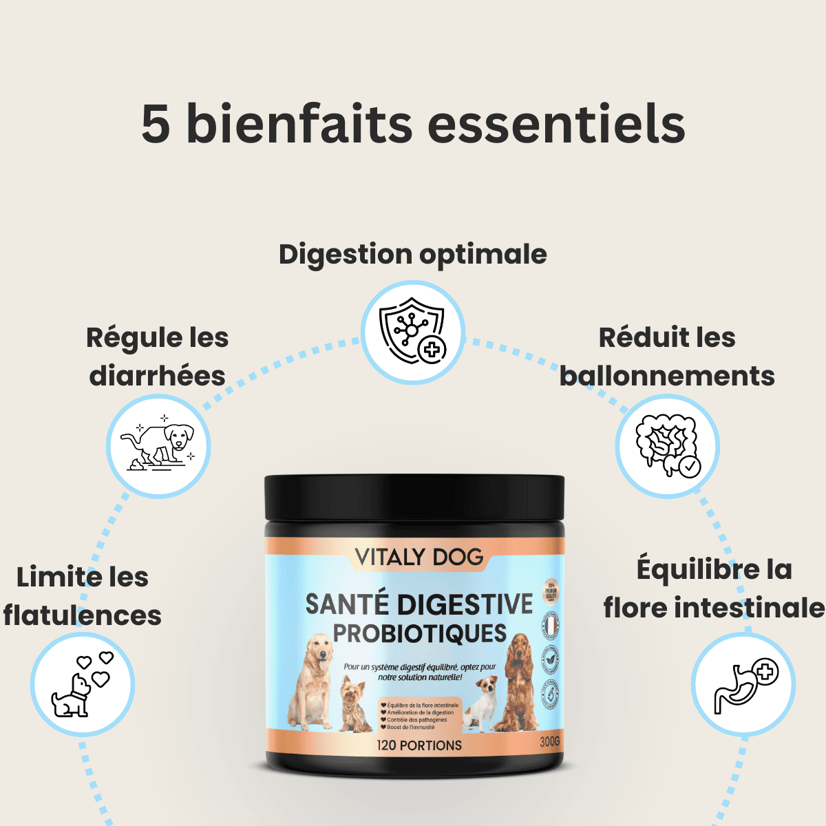 Compléments Probiotiques