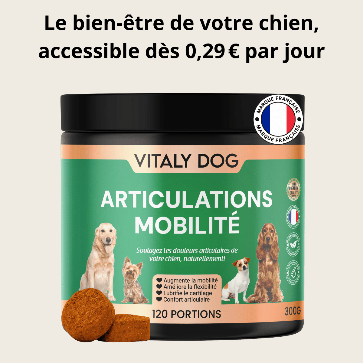 Compléments Articulations