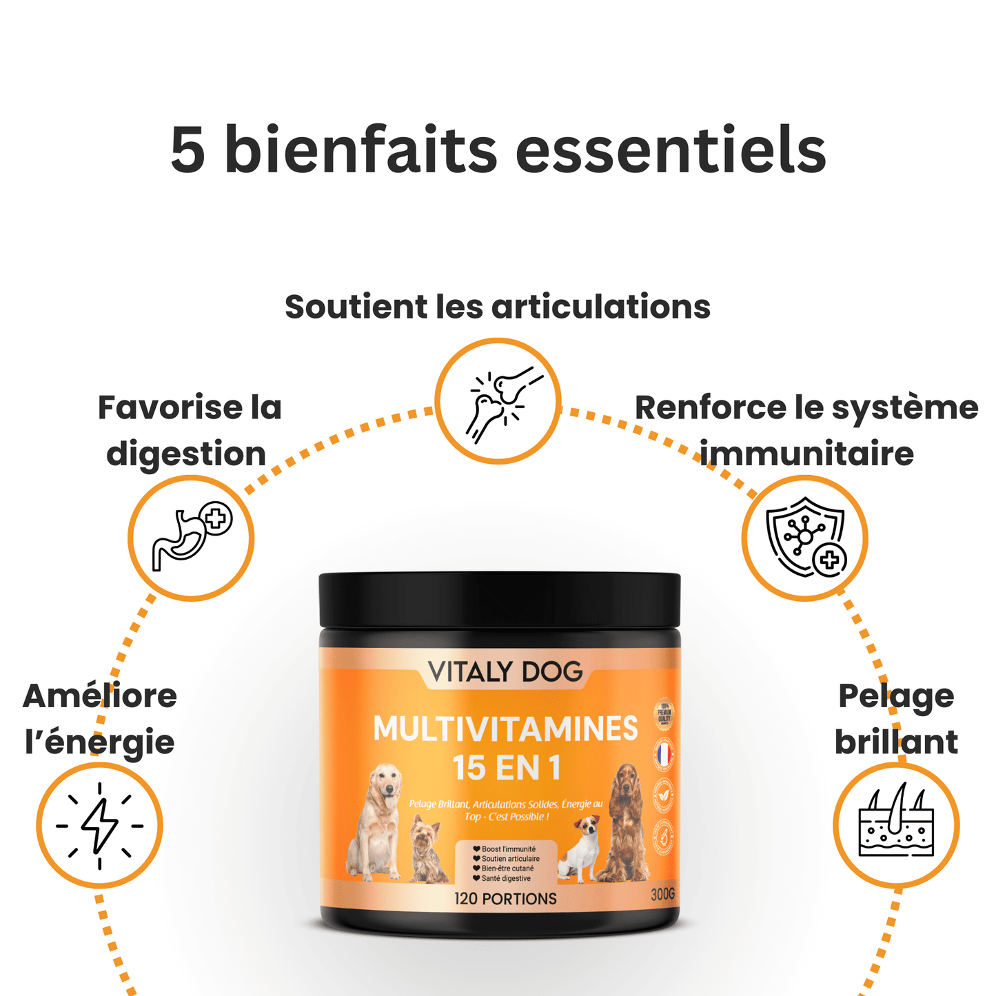 Complément Multivitamines