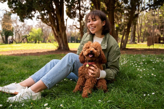 Comment reconnaître un chien en bonne santé au quotidien