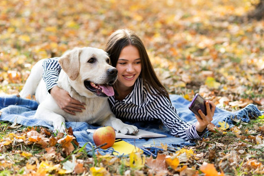 Les avantages des probiotiques dans la gestion des allergies alimentaires chez les chiens