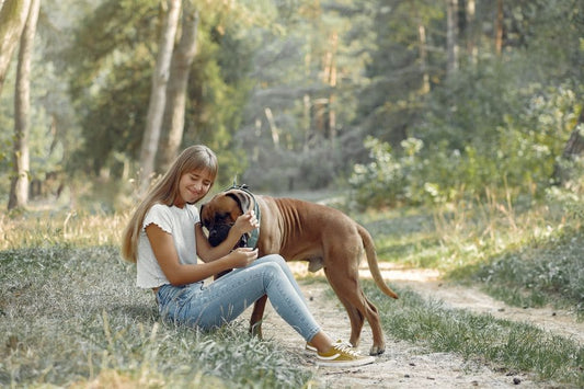 Quelle est la meilleure alimentation pour mon chien