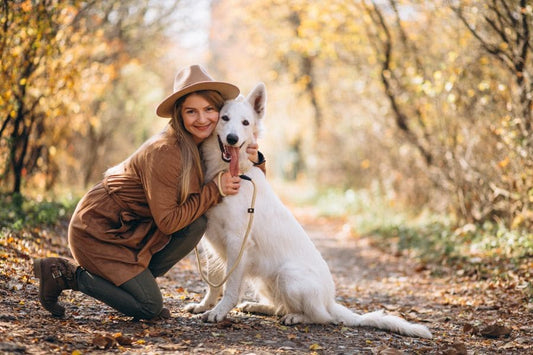 Vaccins indispensables pour protéger son chien en France