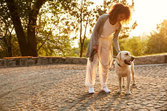 Les douleurs chez le chien  signes, causes, traitements naturels