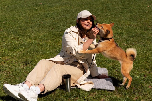 Les maladies les plus courantes chez le chien comment les prévenir