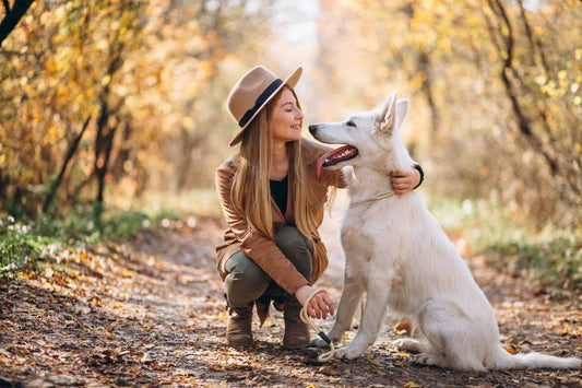 L'importance des probiotiques pour la santé intestinale des chiens