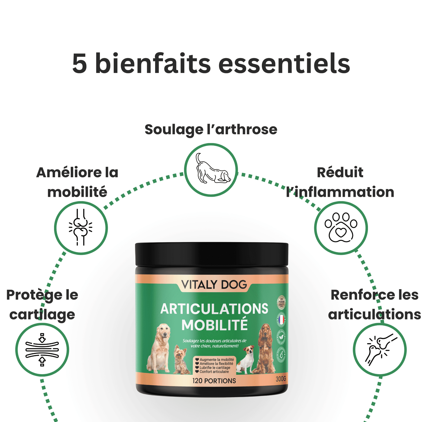 Complément Articulations