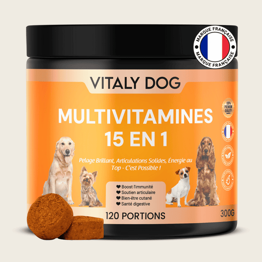 Compléments Multivitamines
