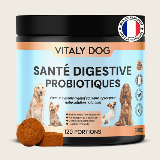 Compléments Probiotiques