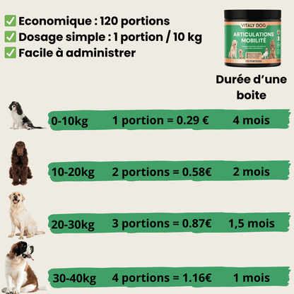 Compléments Articulations