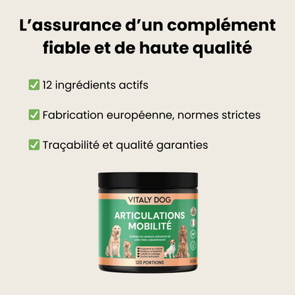 Compléments Articulations