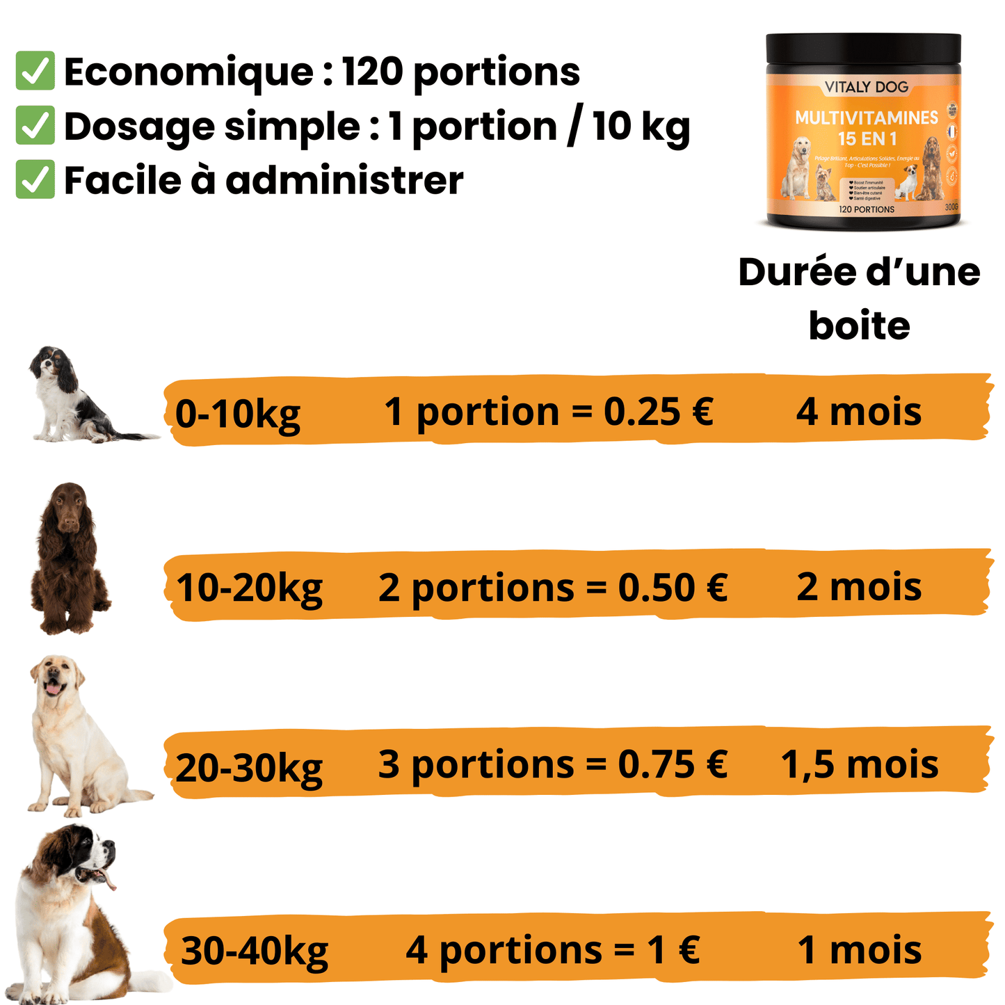 Complément Multivitamines