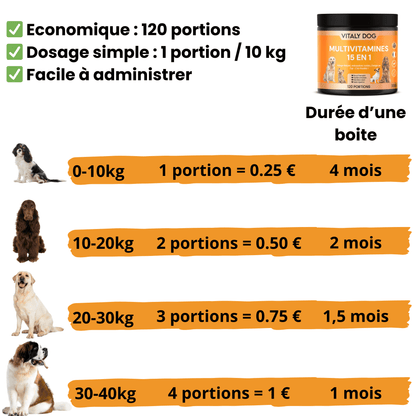 Complément Multivitamines