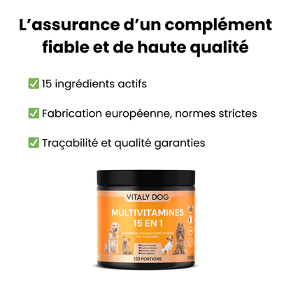 Complément Multivitamines