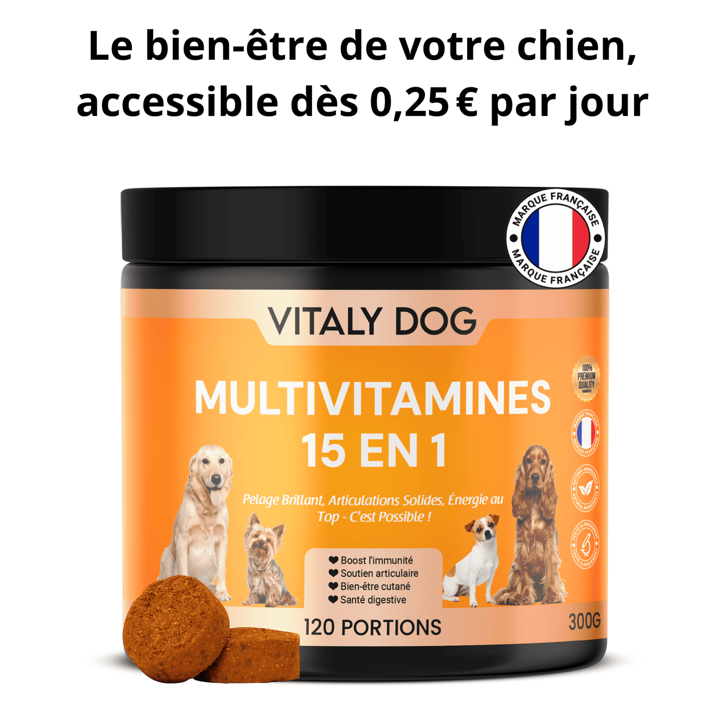 Complément Multivitamines