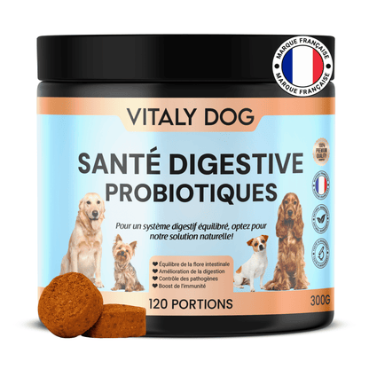 Complément Santé Digestive