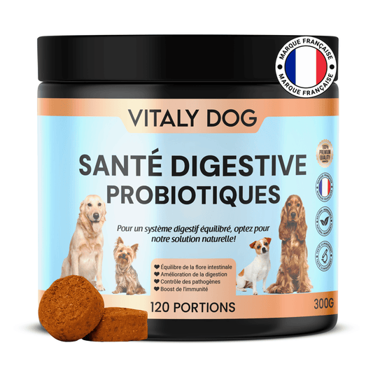 Complément Probiotiques