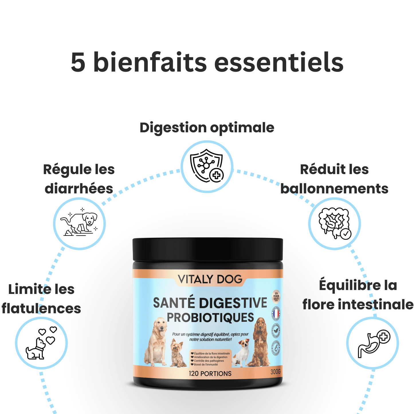 Complément Santé Digestive