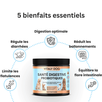 Complément Santé Digestive