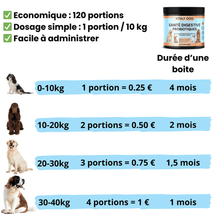 Complément Santé Digestive