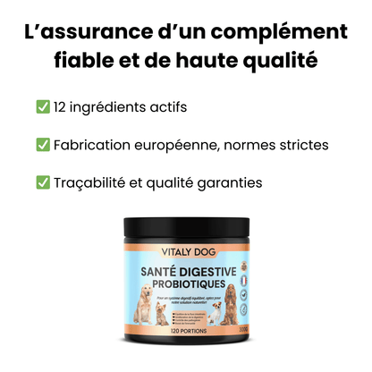 Complément Santé Digestive