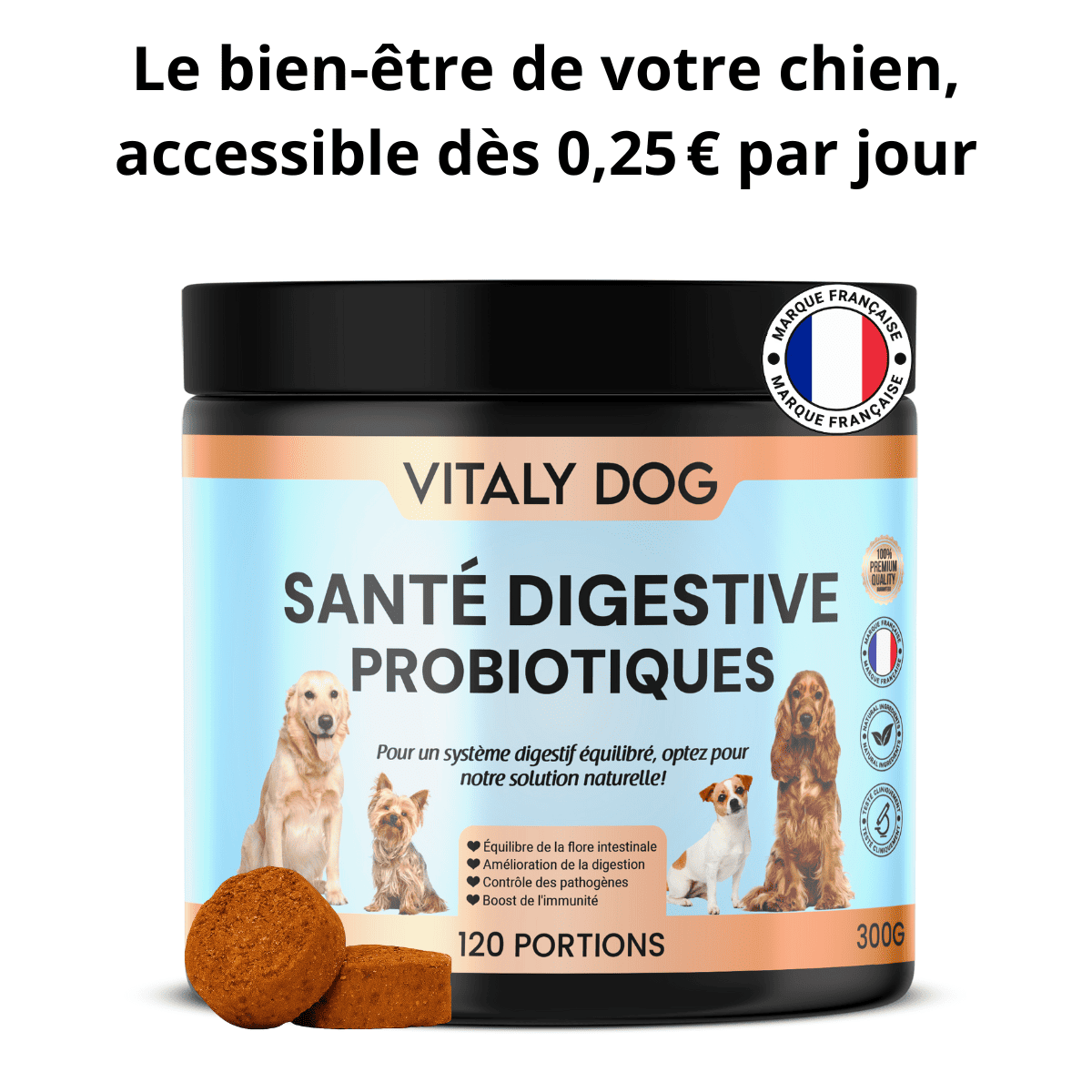 Complément Santé Digestive